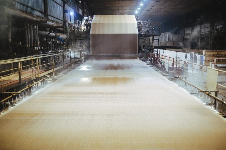 segmento-papel-celulose