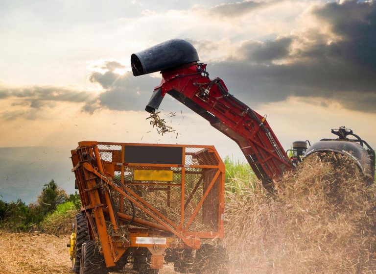 Capuz proteção elevador colhedora de cana