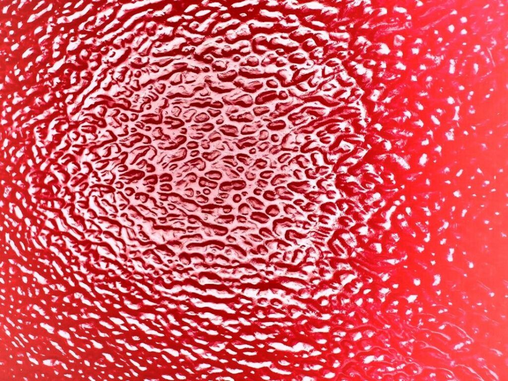 Detalhe da textura Couro em chapa vermelha